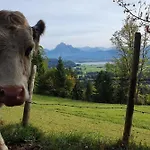 Apartment Alpenblick 8, Bergblick Pur im Allgäu Apartment *