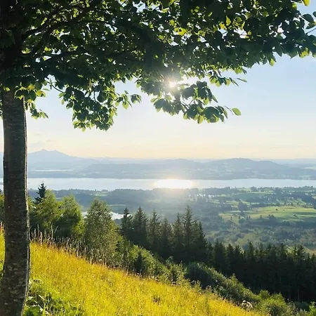 Alpenblick 8, Im Allgaeu, Bergblick Pur - Neueroeffnung! *