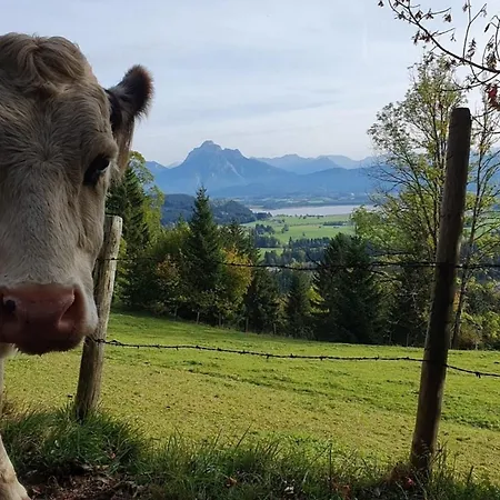 Alpenblick 8, Bergblick Pur Im Allgaeu Apartman *