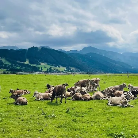 Alpenblick 8, Bergblick Pur Im Allgaeu Apartman