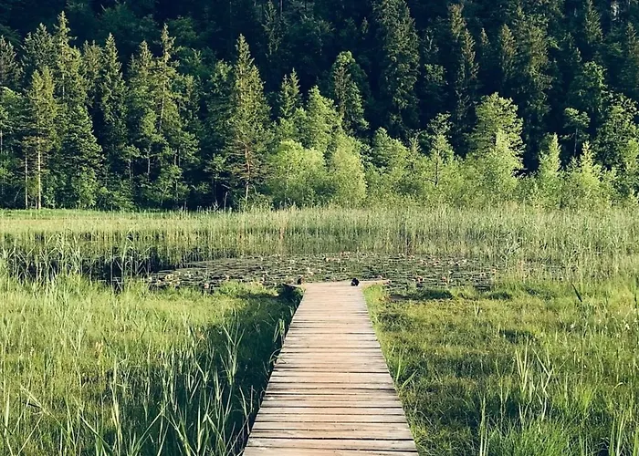 Alpenblick 8, Im Allgaeu, Bergblick Pur - Neueroeffnung! * Halblech