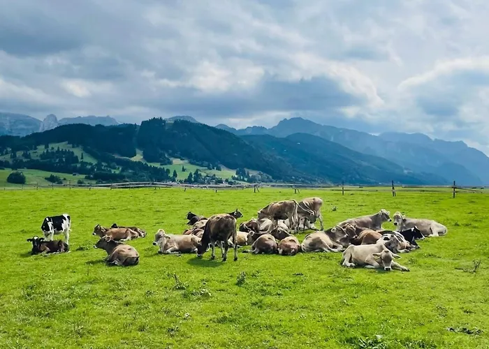 Alpenblick 8, Im Allgäu, Bergblick Pur - Neueröffnung! Apartment