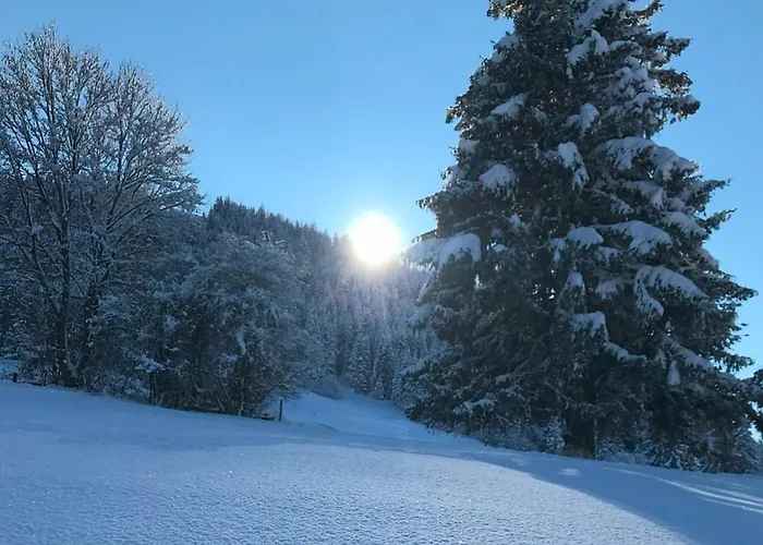 Alpenblick 8, Im Allgäu, Bergblick Pur - Neueröffnung! Apartment Halblech